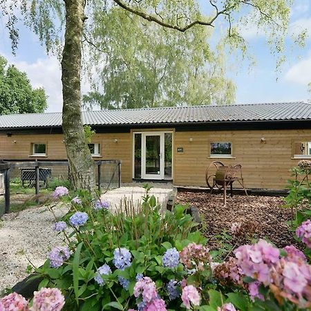 Bos En Beek Bed and Breakfast Ulvenhout Esterno foto